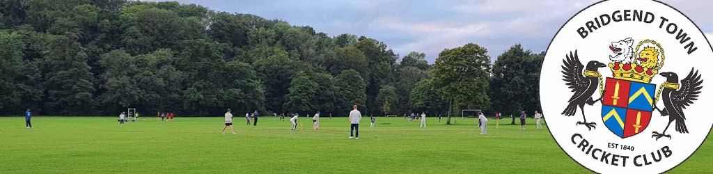 Newbridge Fields